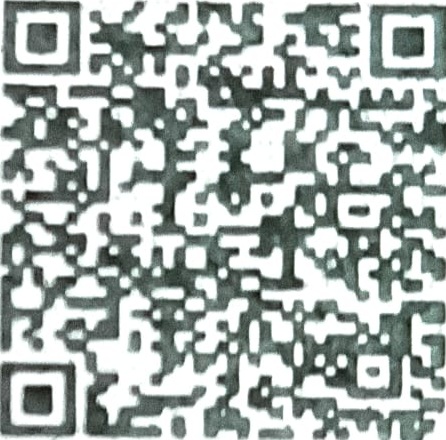 Certified translation barcode — Invisible Ink (Color Technology)