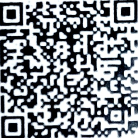 Certified translation barcode — Plant Pest Repellent Solution