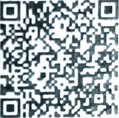 Certified translation barcode — Rubber & Plastic Reinforcement Additive